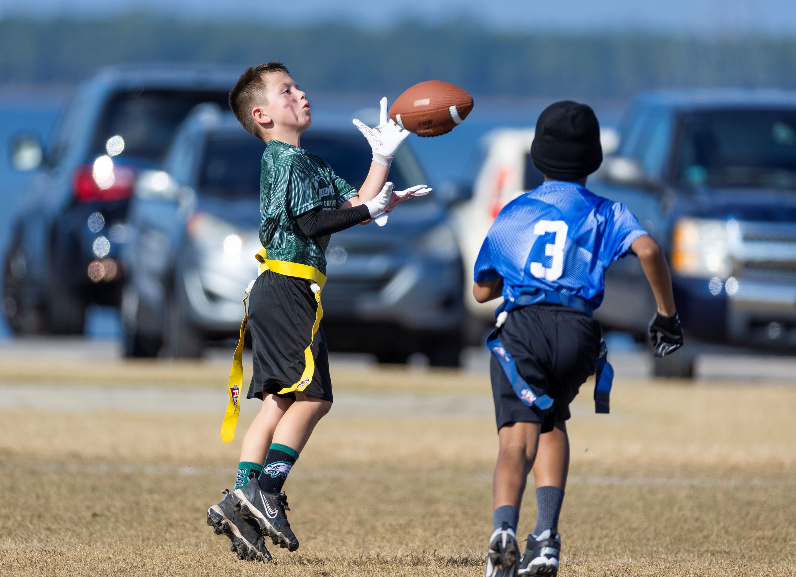 001_020825_LynnHavenflagfbandvolleyball