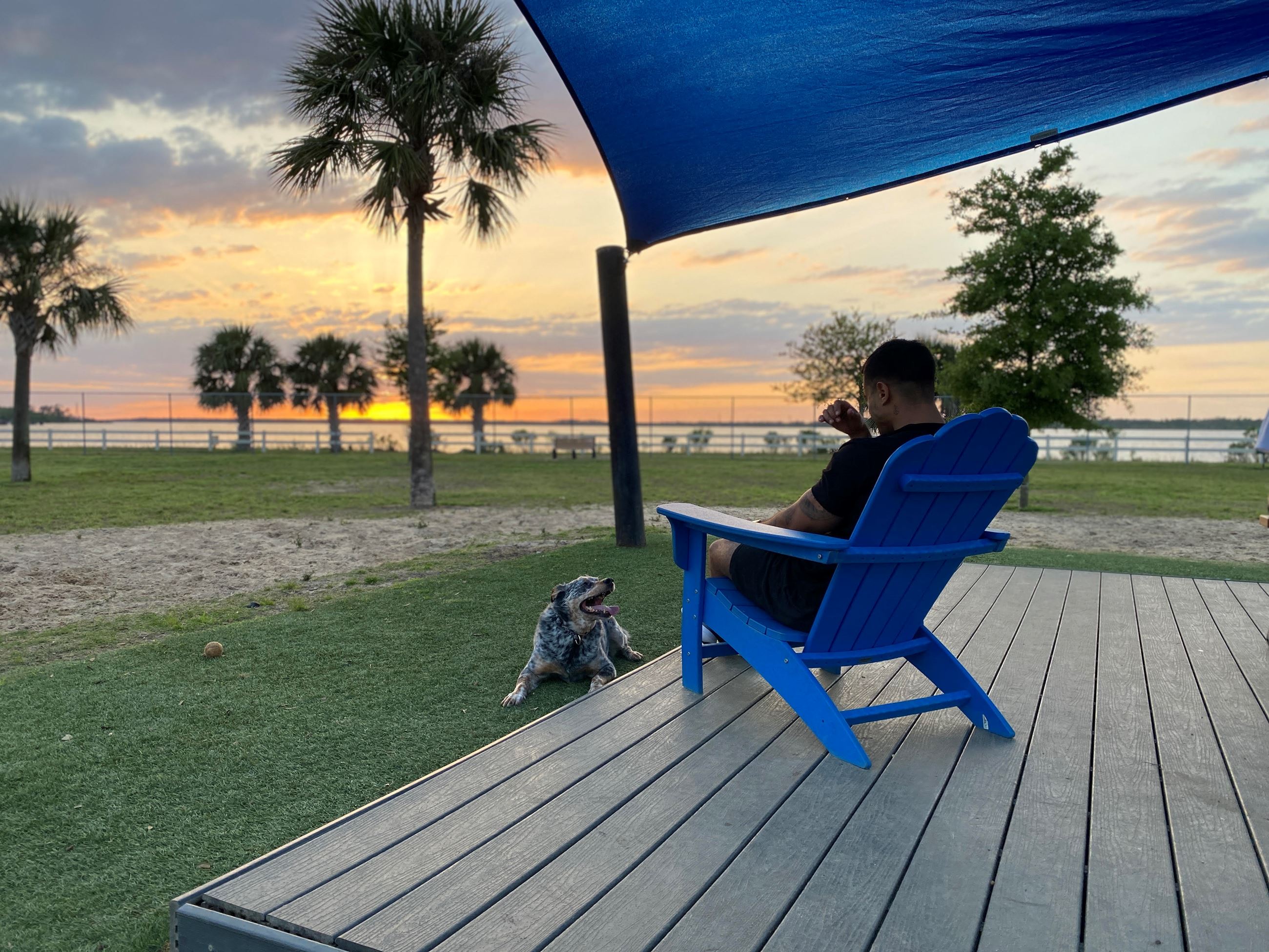 Bark Park Sunset Chair